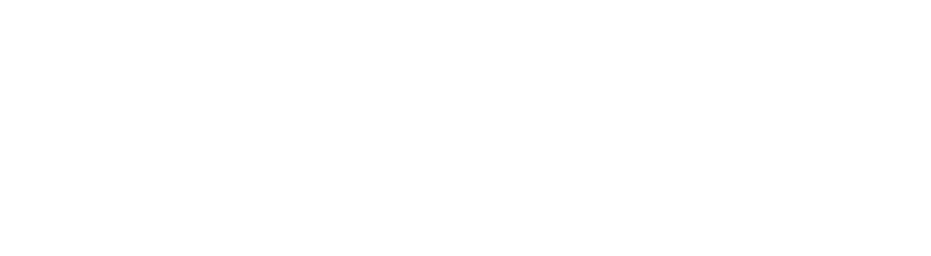 Wildix business communications partner logo